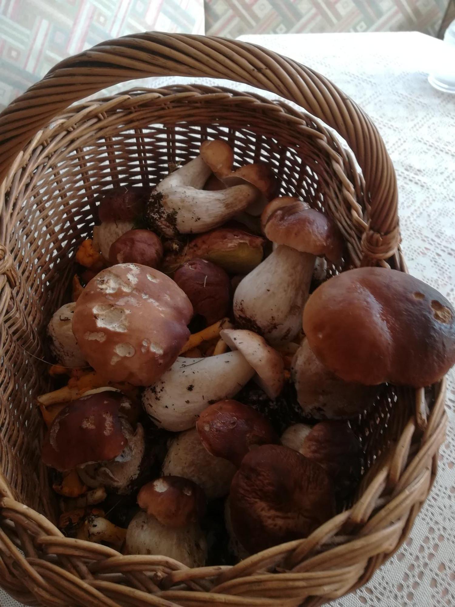Landhaus Tschafein Galtur Bagian luar foto
