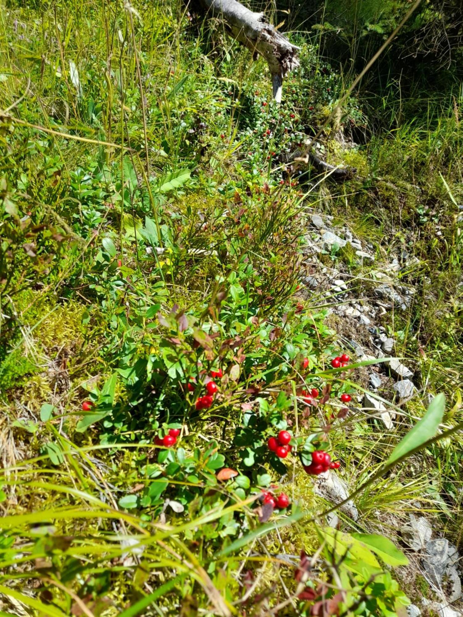 Landhaus Tschafein Galtur Bagian luar foto