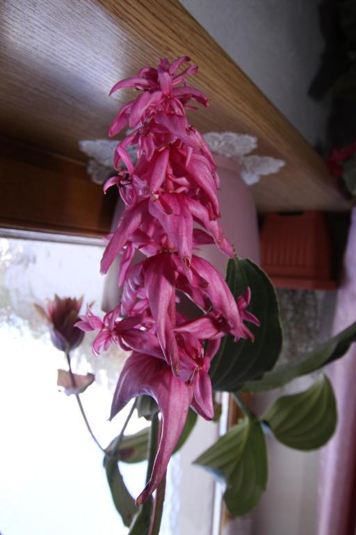 Landhaus Tschafein Galtur Bagian luar foto